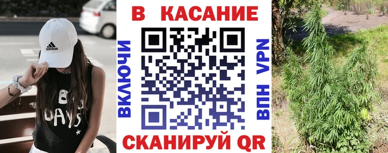 Какие есть наркотики Судогда мега вход  Alpha PVP  COCAIN  Мефедрон  ЭКСТАЗИ  Конопля  Гашиш 