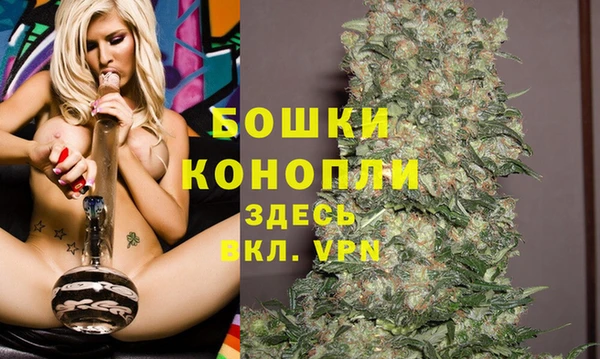 бошки Галич