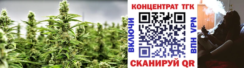 Дистиллят ТГК вейп  купить закладку  Судогда 