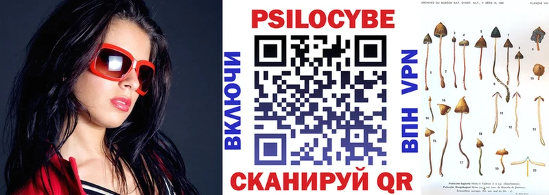 Псилоцибиновые грибы прущие грибы  Судогда 